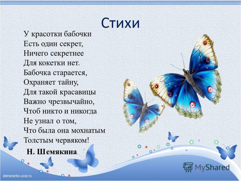 Стих стрекоза и бабочка Стих стрекоза и бабочка