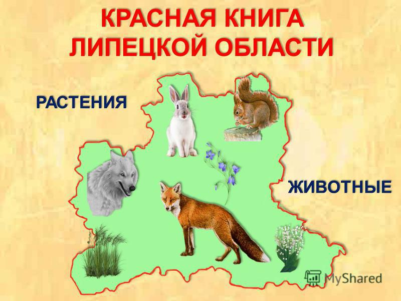 Скачать красная книга липецкой области