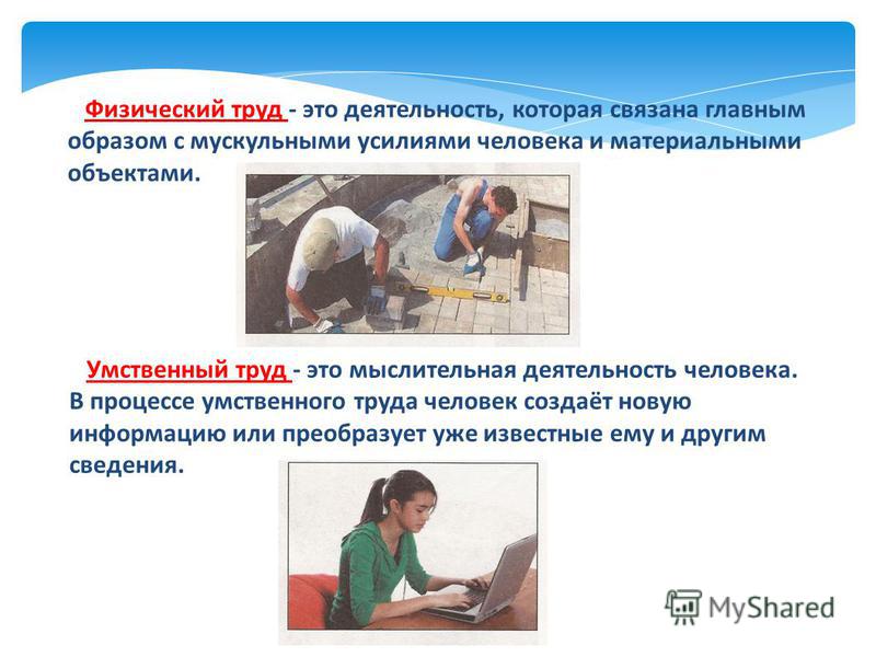 Деятельность человека связанная с работоспособностью Деятельность человека связанная с работоспособностью