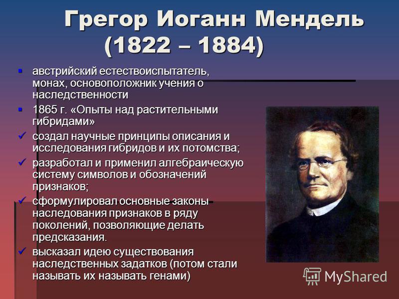 Почему мендель выбрал для исследования наследственности именно горох Почему мендель выбрал для исследования наследственности именно горох