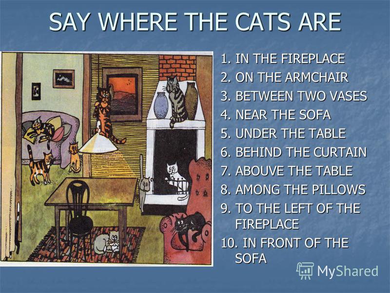 SAY WHERE THE CATS ARE 1. IN THE FIREPLACE 2. ON THE ARMCHAIR 3. BETWEEN TWO VASES 4. NEAR THE SOFA 5. UNDER THE TABLE 6. BEHIND THE CURTAIN 7. ABOUVE THE TABLE 8. AMONG THE PILLOWS 9. TO THE LEFT OF THE FIREPLACE 10. IN FRONT OF THE SOFA