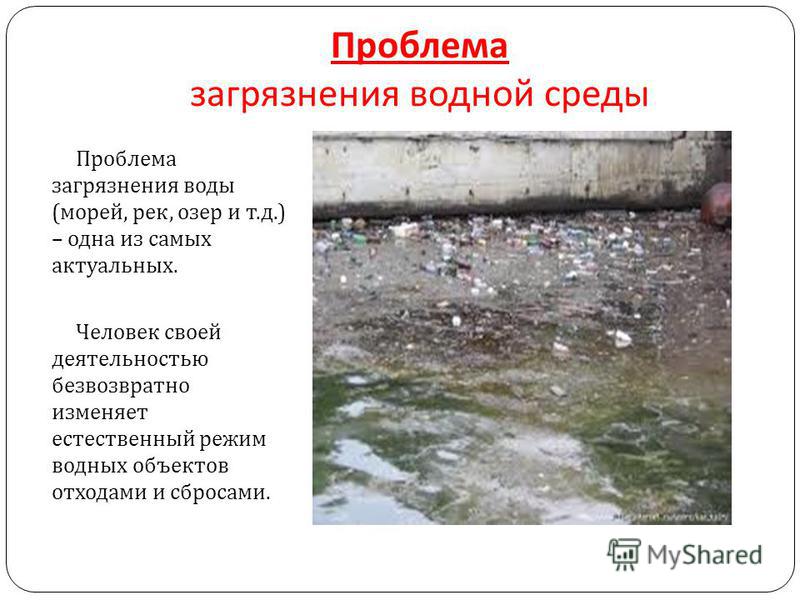 Доклад по теме Загрязнение вод суши