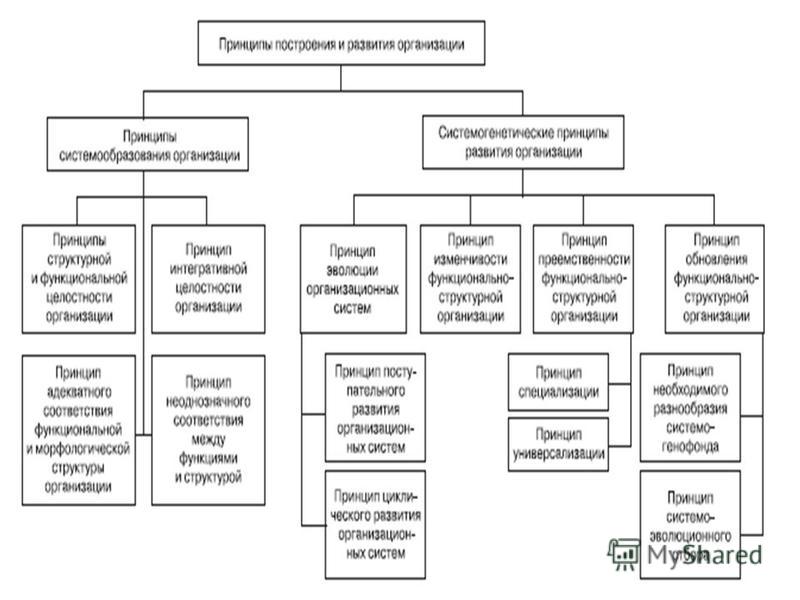 Структура научного проекта