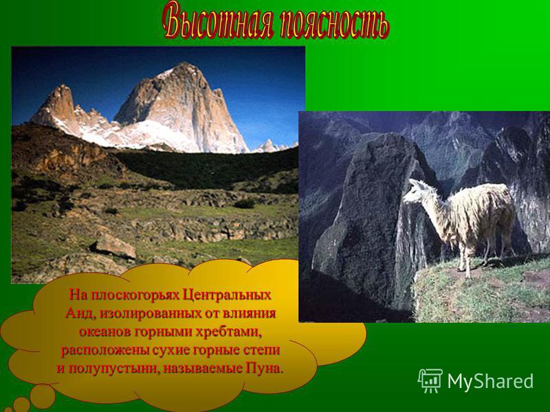 На плоскогорьях Центральных Анд, изолированных от влияния океанов горными хребтами, расположены сухие горные степи и полупустыни, называемые Пуна.