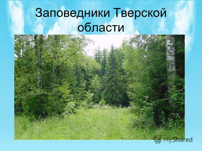 Реферат На Тему Паркова Культура Реферат На Тему Паркова Культура