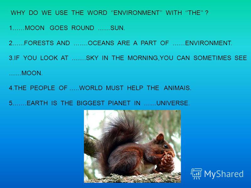 WHY DO WE USE THE WORD ENVIRONMENT WITH THE ? 1……MOON GOES ROUND ……SUN. 2…...FORESTS AND …….OCEANS ARE A PART OF ……ENVIRONMENT. 3.IF YOU LOOK AT …….SKY IN THE MORNING,YOU CAN SOMETIMES SEE ……MOON. 4.THE PEOPLE OF …..WORLD MUST HELP THE ANIMAIS. 5…….E