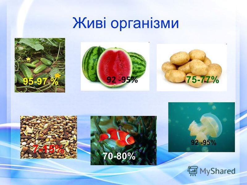 online Кукольный театр
