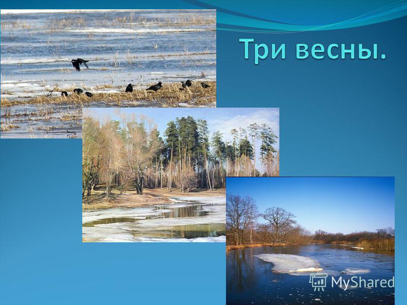 Жаворонки весной картинки Жаворонки весной картинки