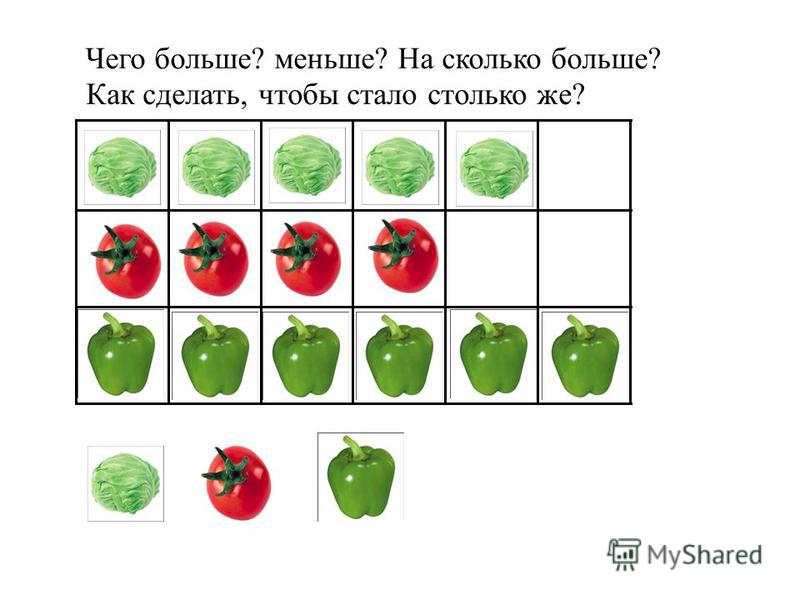 На сколько цены экскурсий в турции