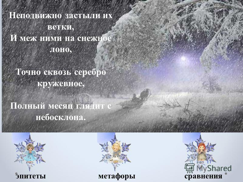 Климат в широколиственных лесах зимой и летом