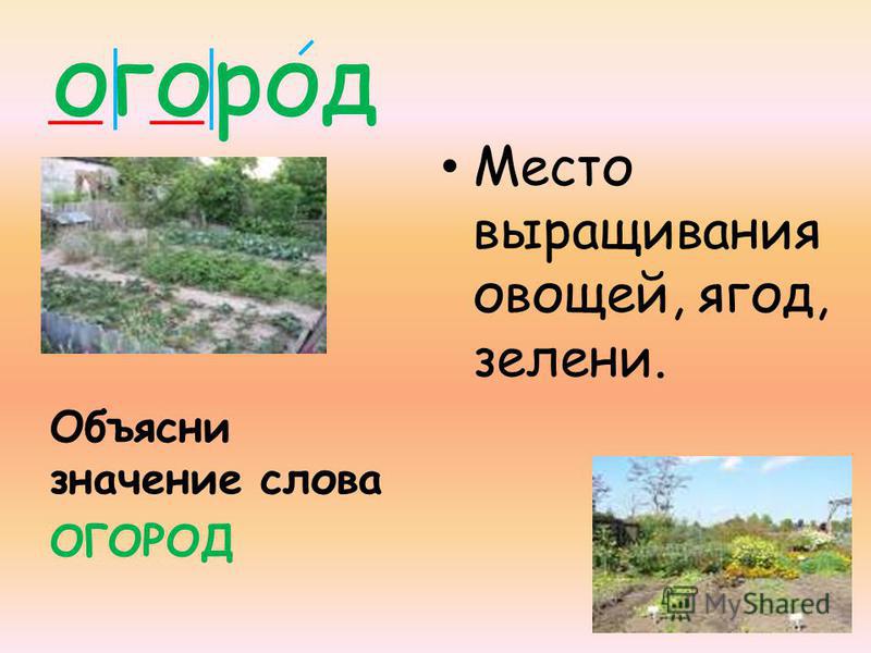 Домашний аквариум для начинающих: Инструкции, советы, статьи Список слов HSK 3 Daostory