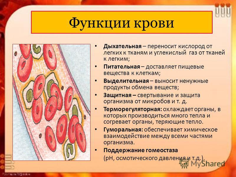 Ремонт рулевого редуктора опель омега Ремонт рулевого редуктора опель омега