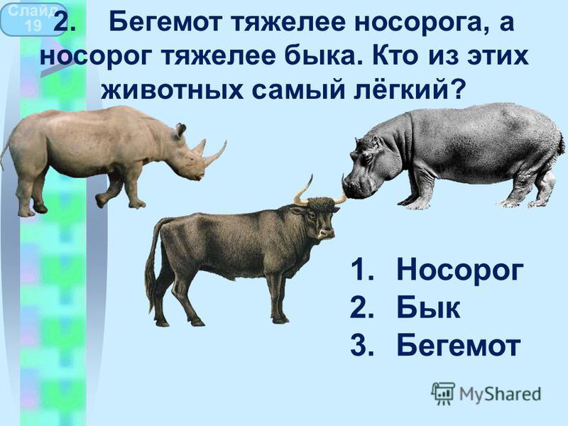 1. Носорог 2. Бык 3. Бегемот Слайд 19 2. Бегемот тяжелее носорога, а носорог тяжелее быка. Кто из этих животных самый лёгкий?