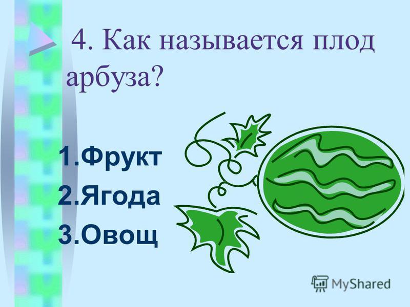 4. Как называется плод арбуза? 1. Фрукт 2. Ягода 3.Овощ