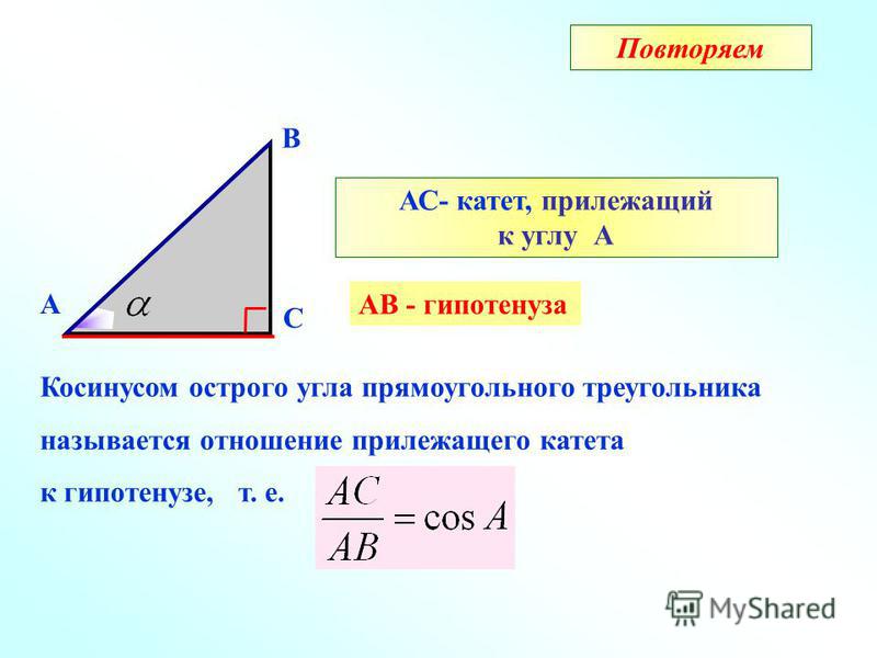Отношения двух катетов угол Отношения двух катетов угол