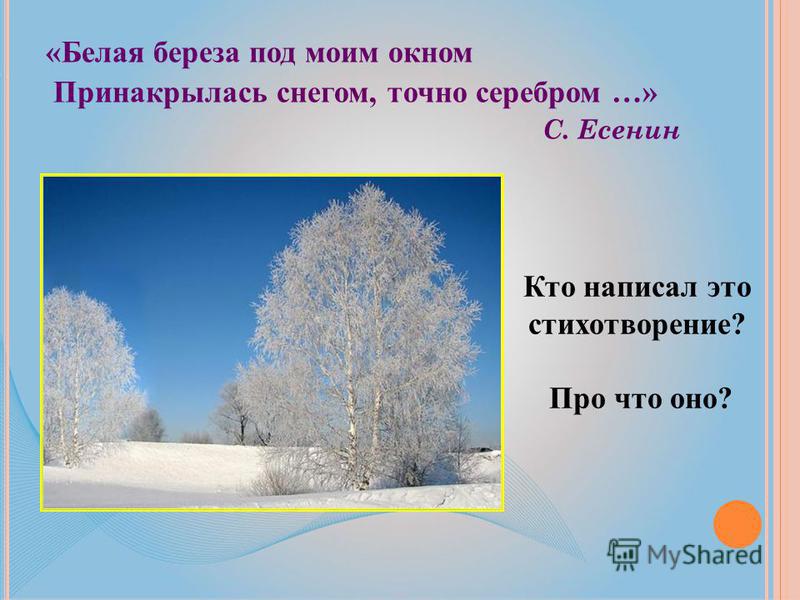 О чем стих белая береза под моим окном О чем стих белая береза под моим окном