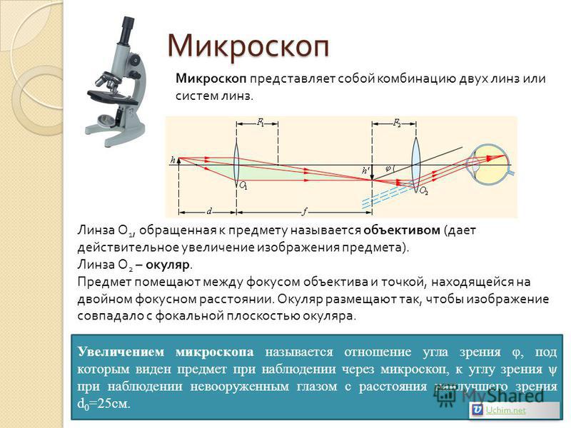 Изображение микроскопа на схеме Изображение микроскопа на схеме