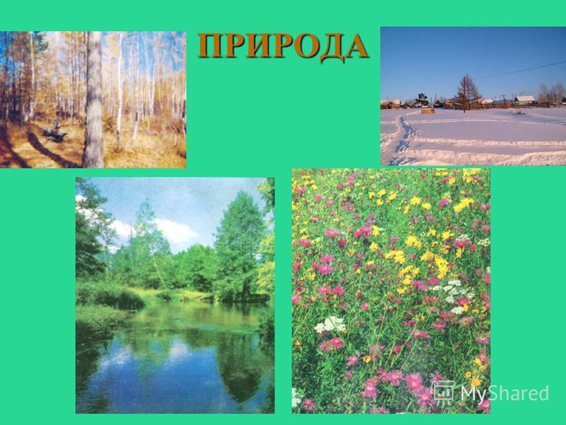 Живая и неживая природа поделки 94