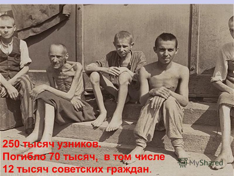 250 тысяч узников. Погибло 70 тысяч, в том числе 12 тысяч советских граждан.