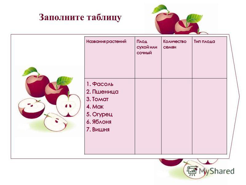 Заполните таблицу типы плодов в рабочей тетради