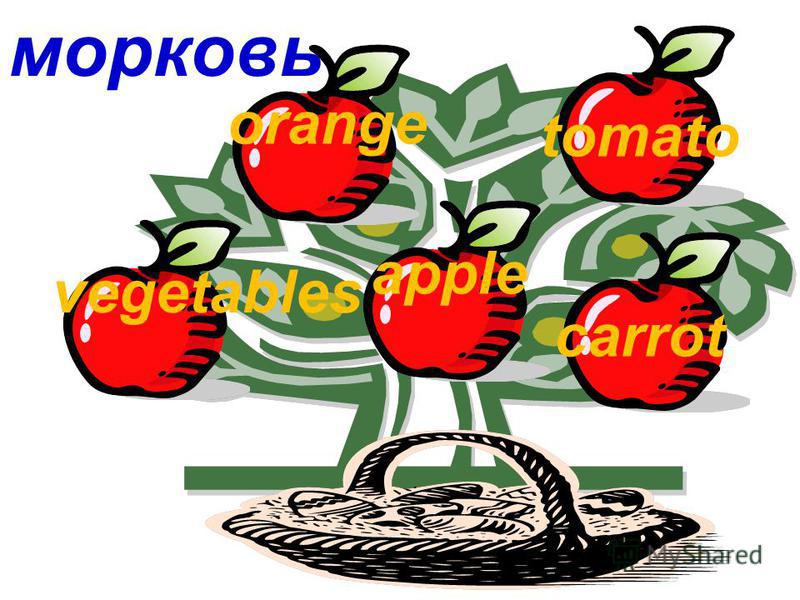 морковь vegetables orange apple tomato carrot