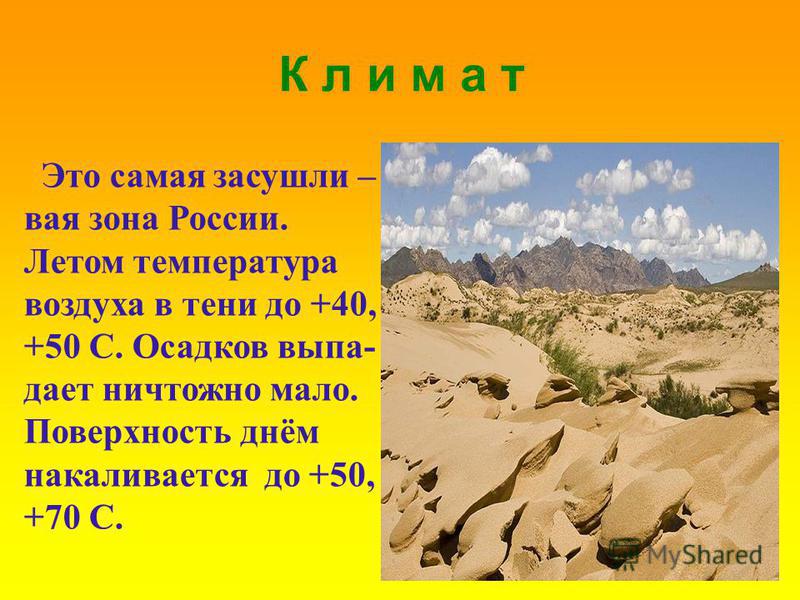 К л и м а т Это самая засушливая зона России. Летом температура воздуха в тени до +40, +50 C. Осадков выпадает ничтожно мало. Поверхность днём накаливается до +50, +70 С.