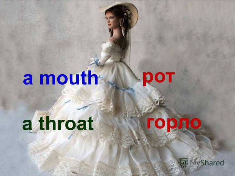 a mouth рот a throat горло