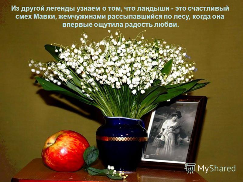 Мастер класс как сделать бусы Мастер класс как сделать бусы