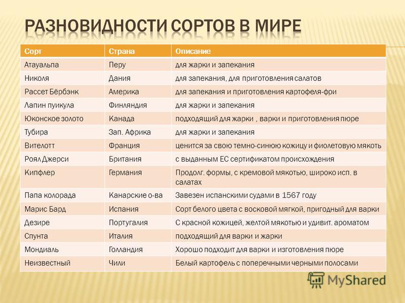Бак посев на хламидии что это Бак посев на хламидии что это