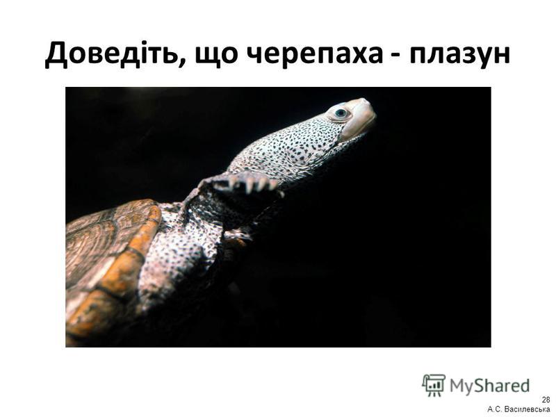 Доведіть, що черепаха - плазун 28 А.С. Василевська