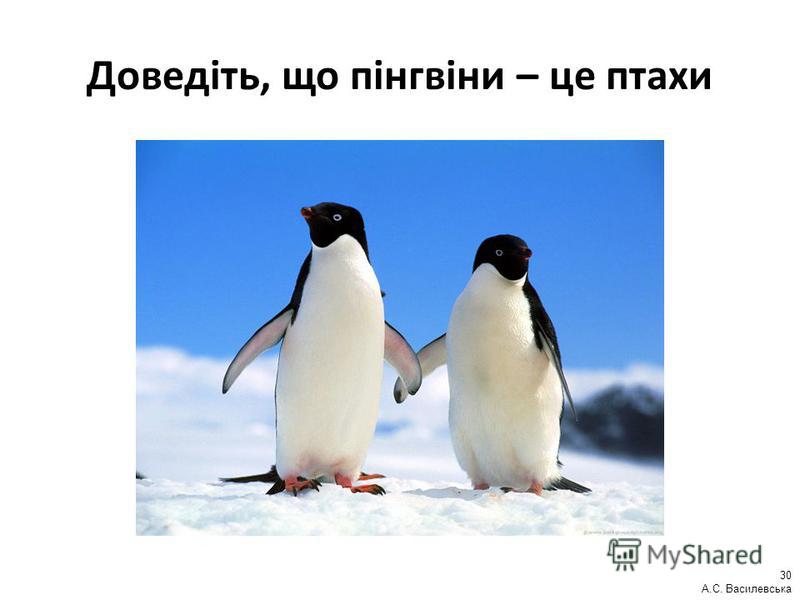 Доведіть, що пінгвіни – це птахи 30 А.С. Василевська