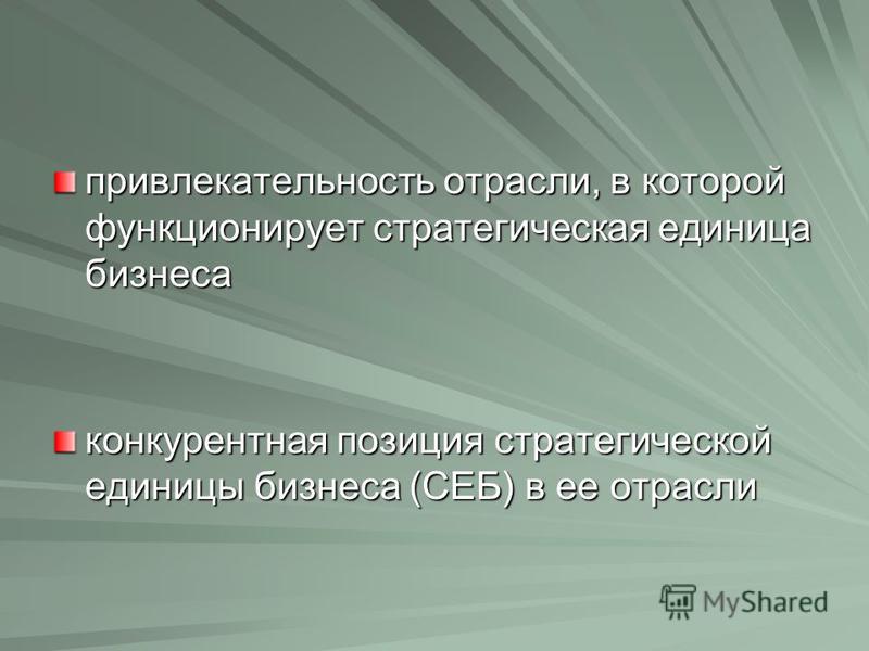 стратегическая единица бизнеса стратегическая единица бизнеса