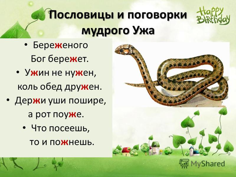 Пословица береженого бог бережет продолжение пословицы Пословица береженого бог бережет продолжение пословицы