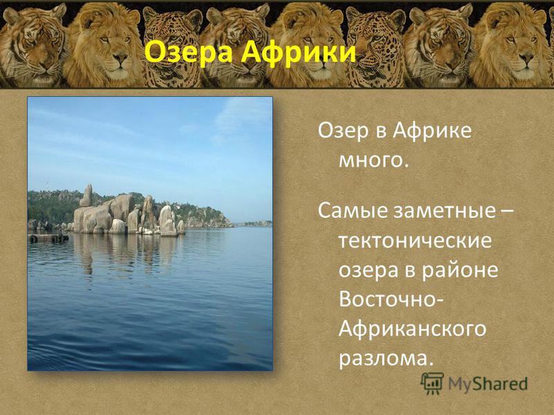 Презентация "Африка-географическая номенклатура"