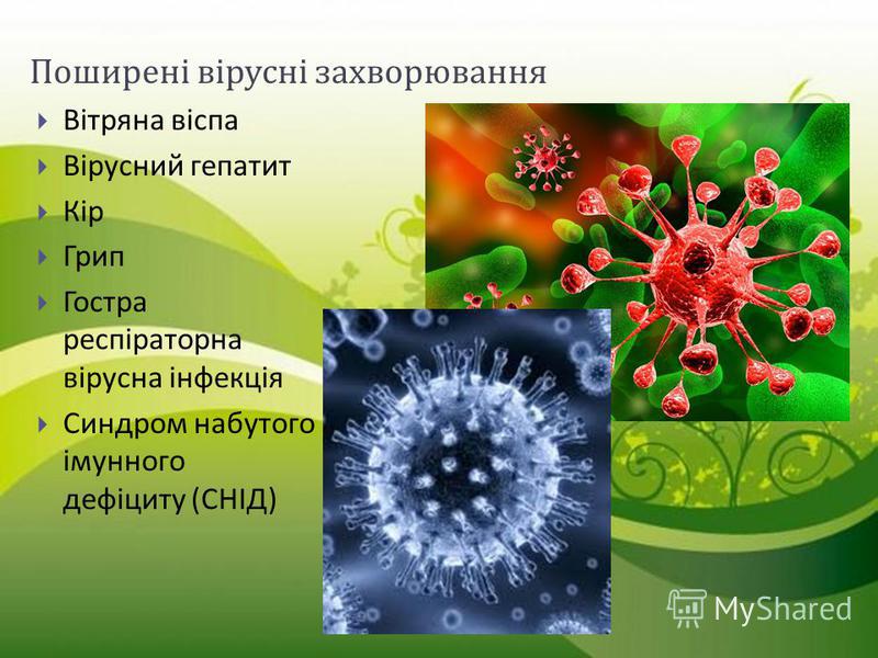 Поширені вірусні захворювання Вітряна віспа Вірусний гепатит Кір Грип Гостра респіраторна вірусна інфекція Синдром набутого імунного дефіциту ( СНІД )