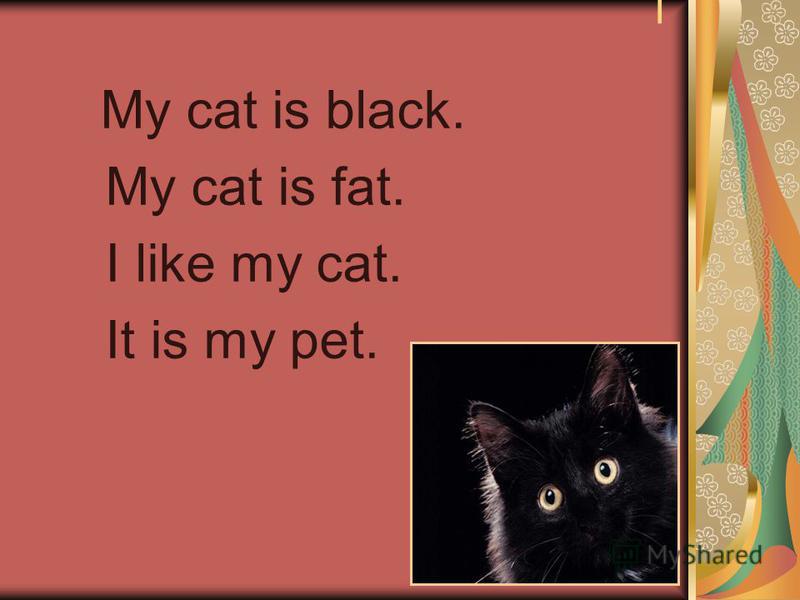 I My cat is black. My cat is fat. I like my cat. It is my pet.