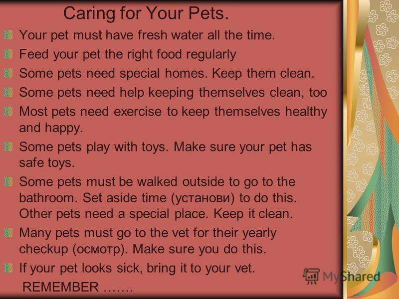 Caring for Your Pets. Your pet must have fresh water all the time. Feed your pet the right food regularly Some pets need special homes. Keep them clean. Some pets need help keeping themselves clean, too Most pets need exercise to keep themselves heal