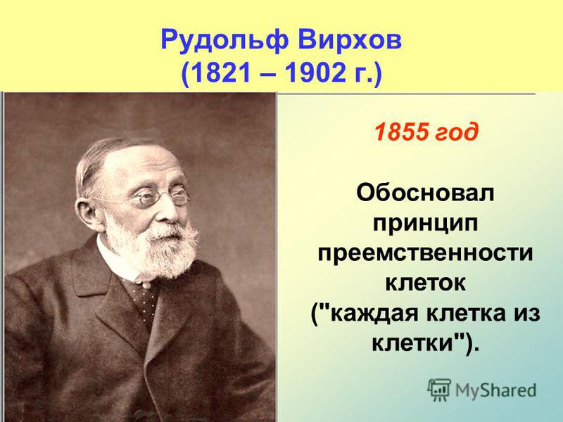 Рудольф Вирхов (1821 – 1902 г.) 1855 год Обосновал принцип преемственности клеток (каждая клетка из клетки).