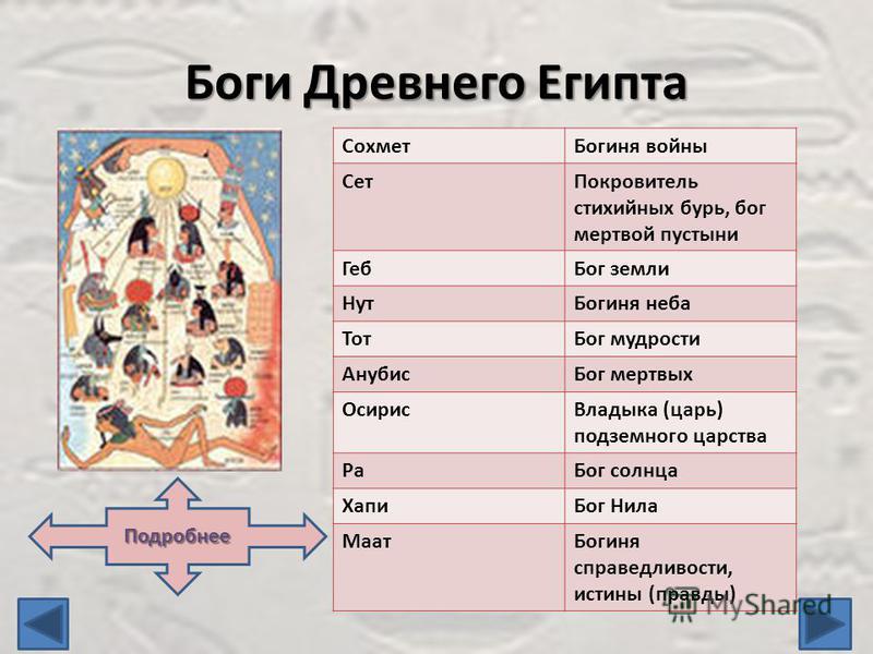 Одежда кошек своими руками фото Одежда кошек своими руками фото