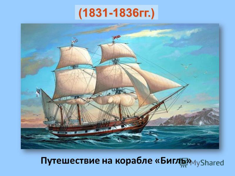 Путешествие на корабле «Бигль» (1831-1836 гг.)