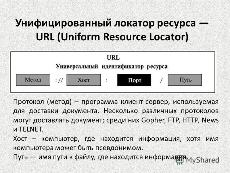 Унифицированный локатор ресурса URL (Uniform Resource Locator) Протокол (метод) – программа клиент-сервер, используемая для доставки документа. Несколько различных протоколов могут доставлять документ; среди них Gopher, FTP, HTTP, News и TELNET. Хост