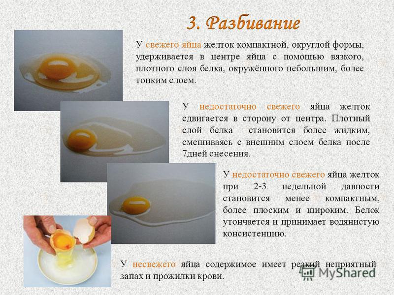 У свежего яйца желток компактной, округлой формы, удерживается в центре яйца с помощью вязкого, плотного слоя белка, окружённого небольшим, более тонким слоем. У недостаточно свежего яйца желток сдвигается в сторону от центра. Плотный слой белка стан
