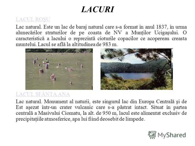 LACURI LACUL ROŞU Lac natural. Este un lac de baraj natural care s-a format în anul 1837, în urma alunecărilor straturilor de pe coasta de NV a Munţilor Ucigaşului. O caracteristică a lacului o reprezintă cioturile copacilor ce acopereau creasta munt