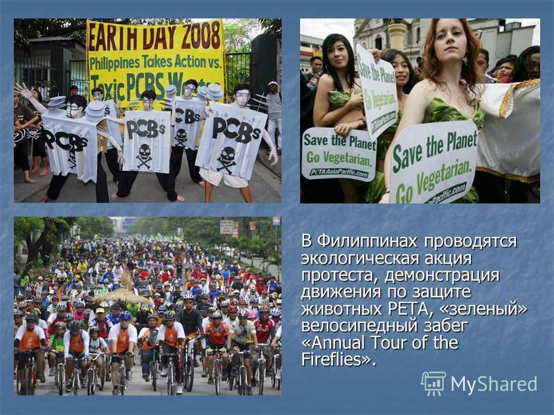 В Филиппинах проводятся экологическая акция протеста, демонстрация движения по защите животных PETA, «зеленый» велосипедный забег «Annual Tour of the Fireflies».