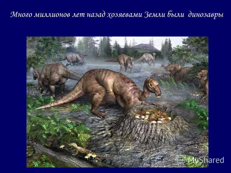Много миллионов лет назад хозяевами Земли были динозавры