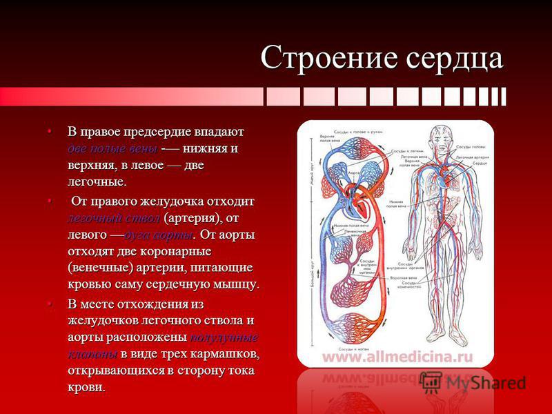 Если тонкие вены что делать
