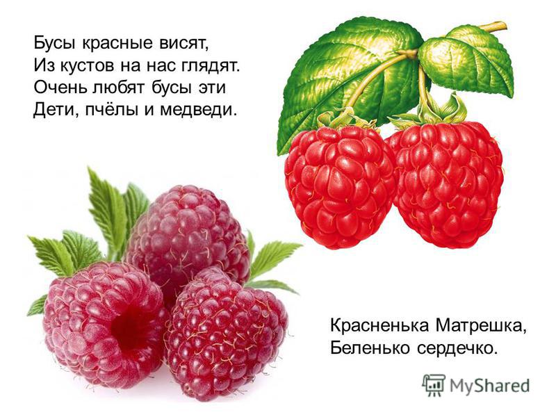 Стихи к подарку малина 57