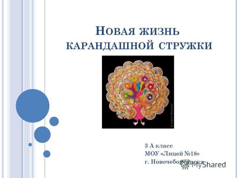 Н ОВАЯ ЖИЗНЬ КАРАНДАШНОЙ СТРУЖКИ 3 А класс МОУ «Лицей 18» г. Новочебоксарска