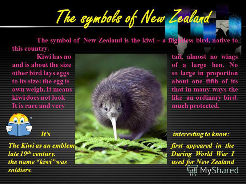 The symbols of New Zealand The symbol of New Zealand is the kiwi – a flightless bird, native to this country. Kiwi has no tail, almost no wings and is about the size of a large hen. No other bird lays eggs so large in proportion to its size: the egg 