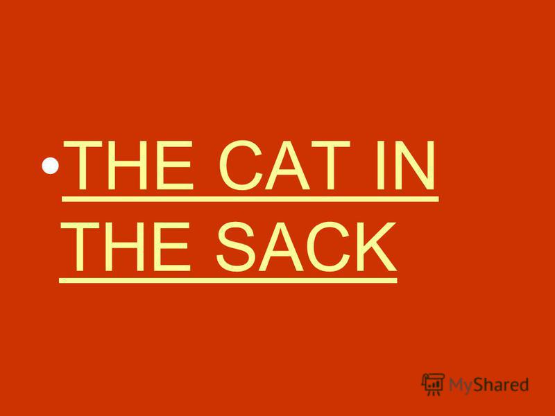 THE CAT IN THE SACKTHE CAT IN THE SACK